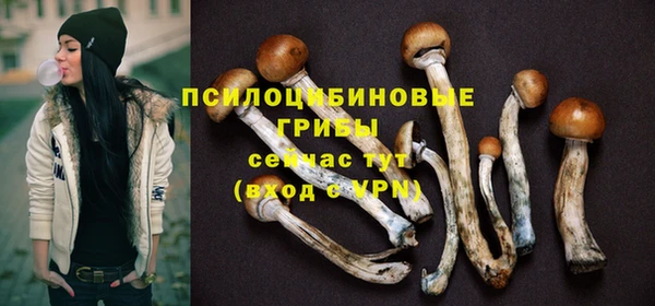 mdpv Елабуга