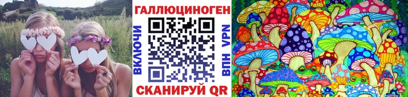 Купить Заозёрный Псилоцибиновые грибы Psilocybe